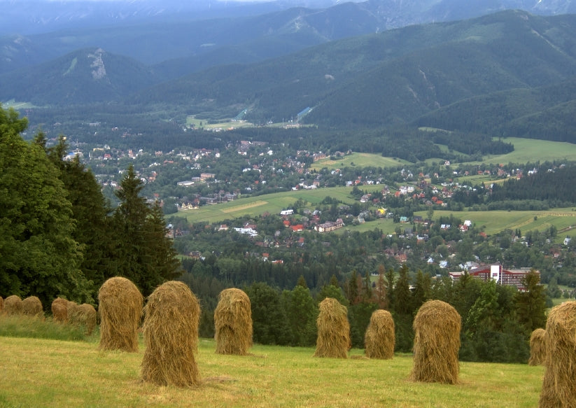 May 2026 - A Culinary Adventure from Krakow to Zakopane Tour