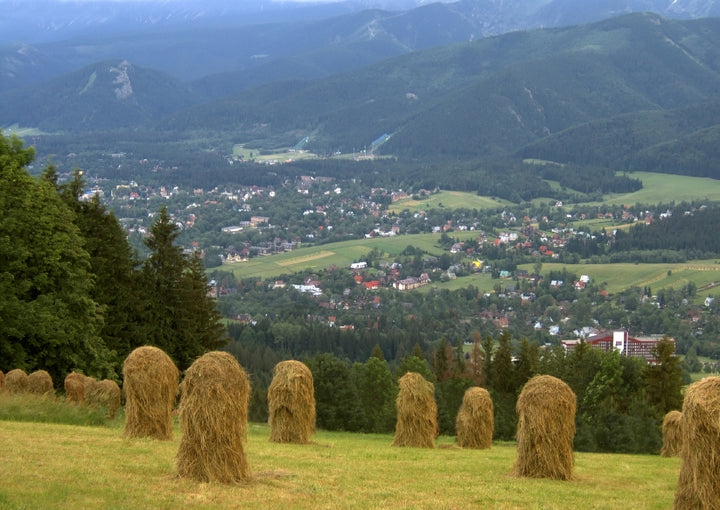 May 2026 - A Culinary Adventure from Krakow to Zakopane Tour