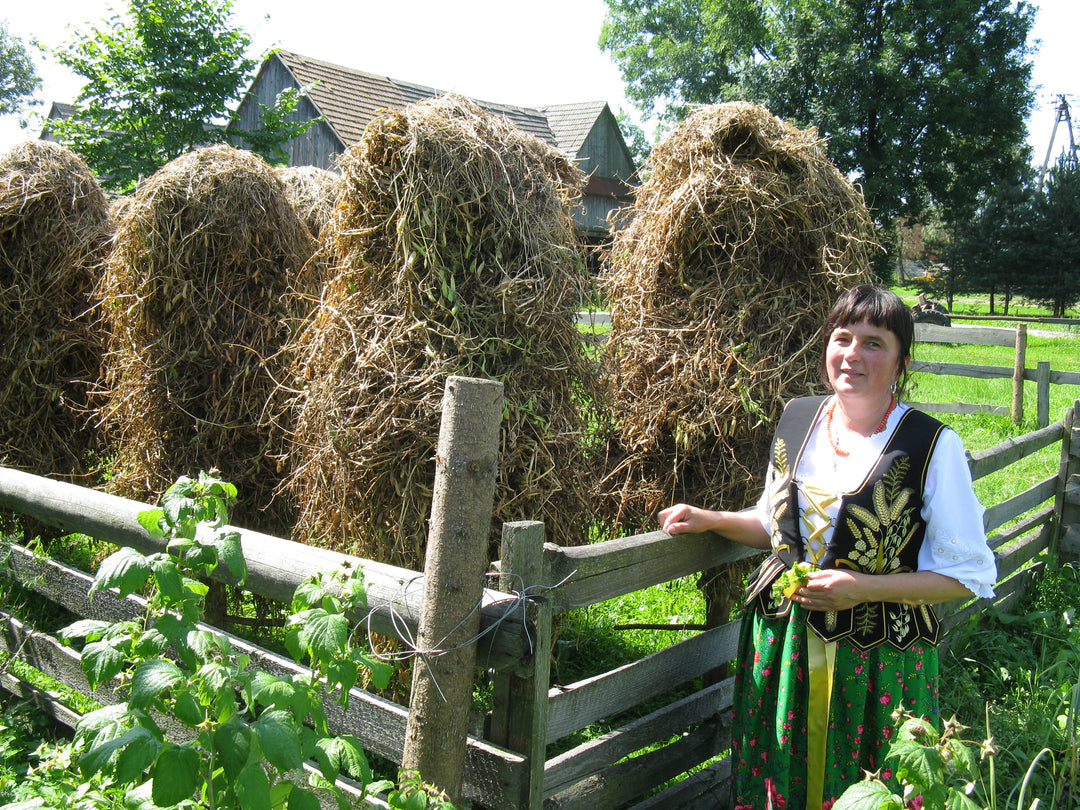 May 2026 - A Culinary Adventure from Krakow to Zakopane Tour