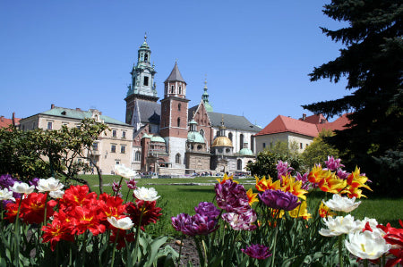 May 2026 - A Culinary Adventure from Krakow to Zakopane Tour