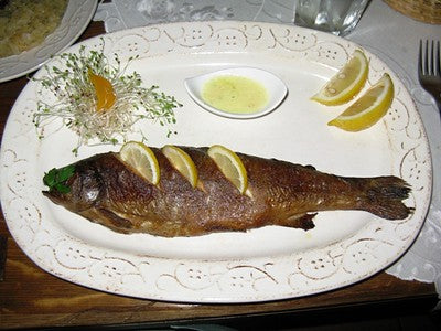Savory Cuisine in Warsaw and Mazovia Poland Tour