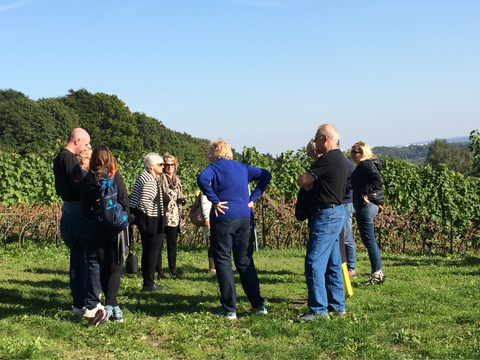 Polish Wine Retreat in Lesser Poland And Krakow Tour