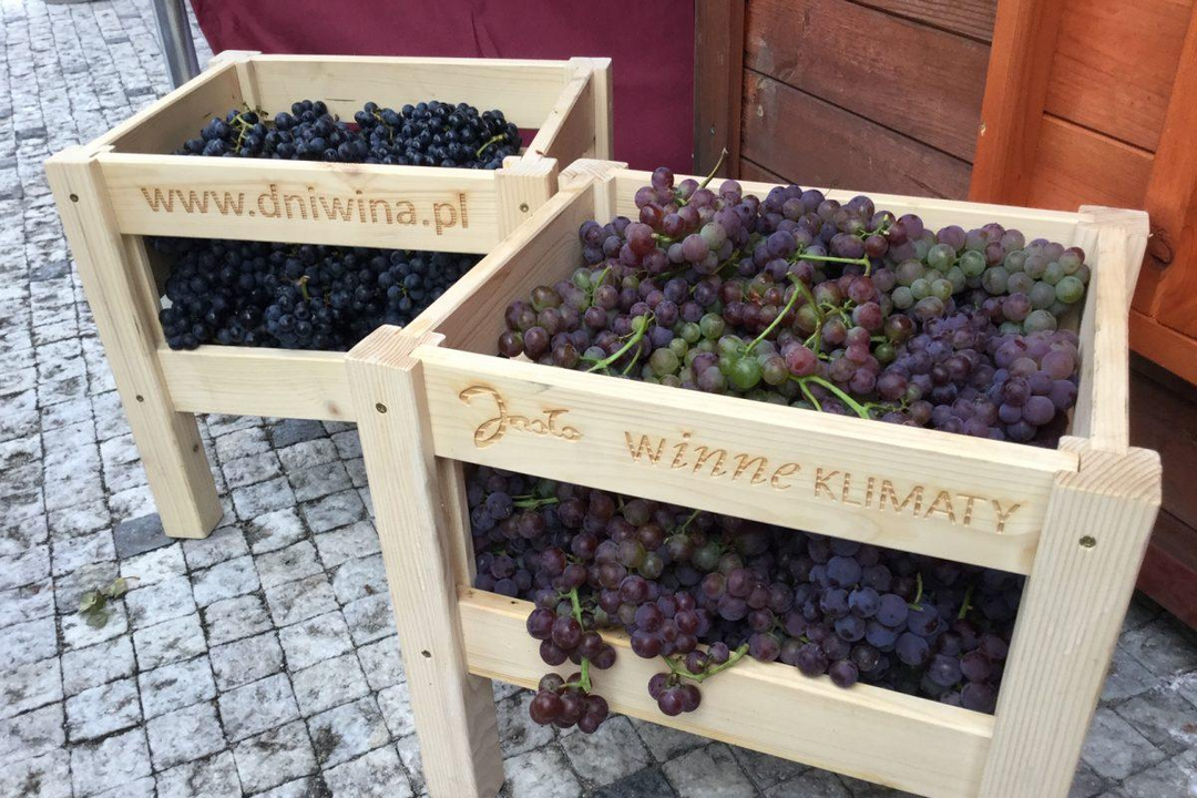 Polish Wine Tour in Subcarpathia Poland