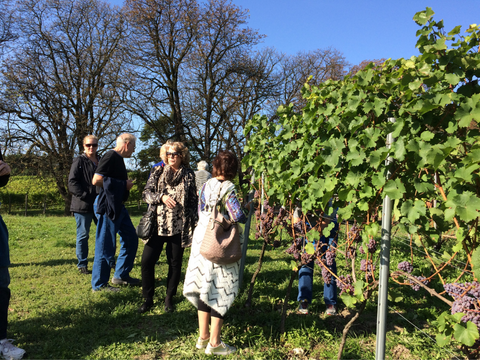 Polish Wine Retreat in Lesser Poland And Krakow Tour