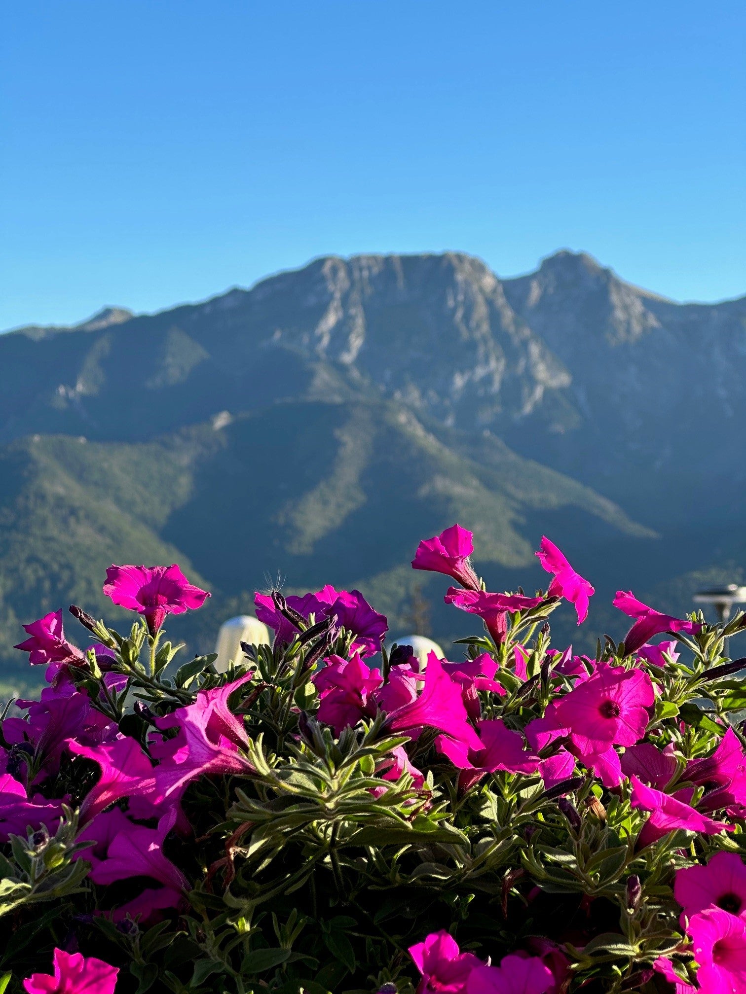The Tatra Mountains Scenic Landscape in Poland – Poland Culinary Vacations