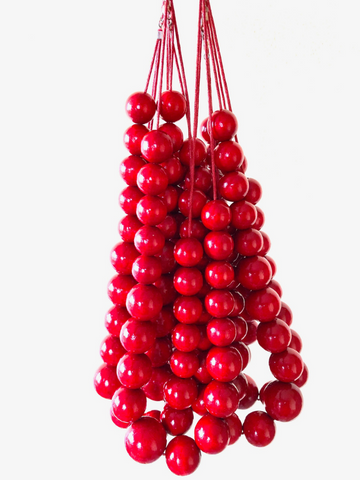 Krakowian Red Wood Necklace