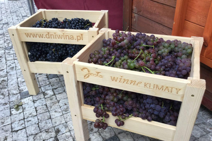 Polish Wine Adventure in Subcarpathia Poland Tour